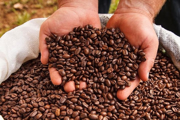 Doka Estate Coffee Tour, Grecia and Sarchi Oxcarts factory